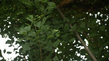 IMG_7291