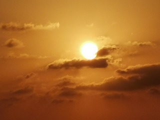 1164678