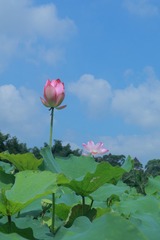001