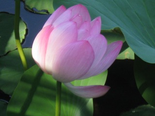 1000020122