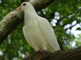 5850