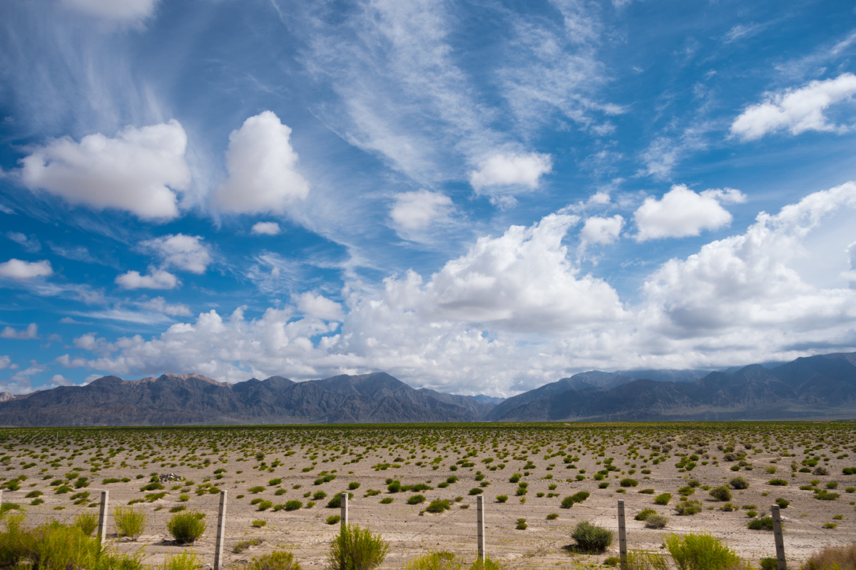 大西北的自然风光,总是让人心旷神怡!