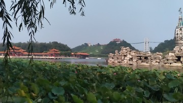 1951