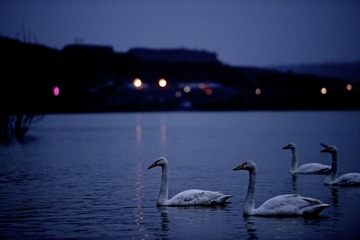 DSC_4547.jpg