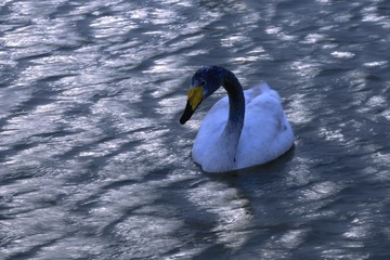 DSC_4306.jpg