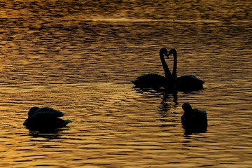 DSC_4629.jpg