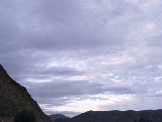1000026547
