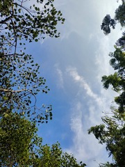 IMG_20250609_174410