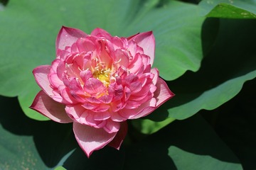 001