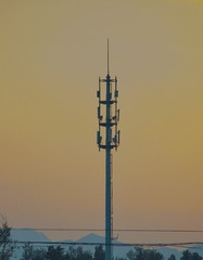 1000018511