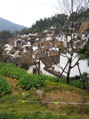 1075529