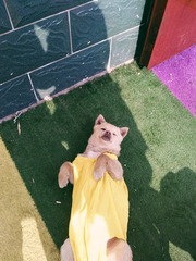 001