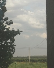 316410