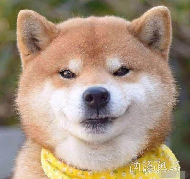 得意- 咖啡人生微信部落