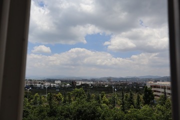 20250606125602_IMG_0653