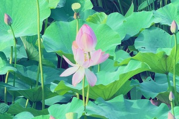 001