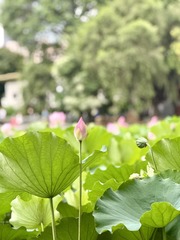 001