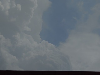1000032042