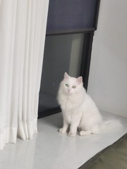 67308