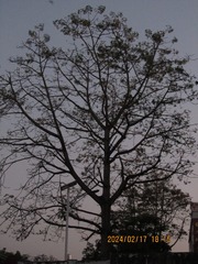 1460368