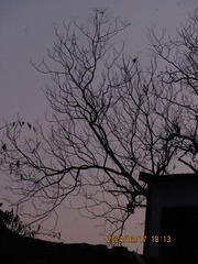 1460367