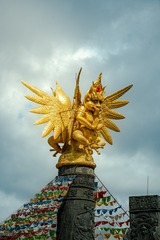 1000135310