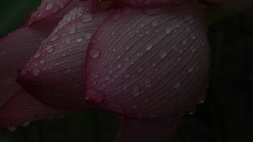 1000023676