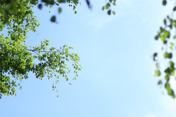1000135742
