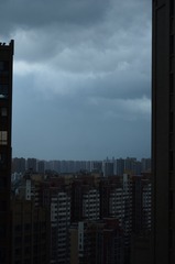 1000036317