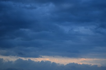 1000036338