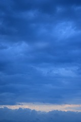 1000036342