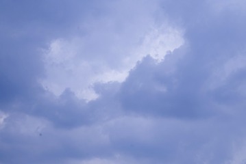 1000161005