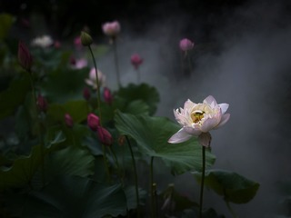 001