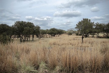 IMGP6821.jpg