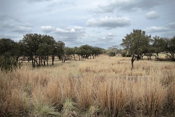 IMGP6821.jpg
