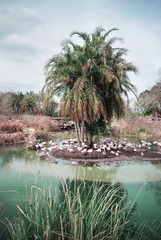 IMGP7048.jpg