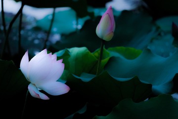 001