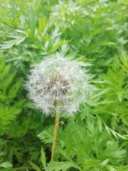 281