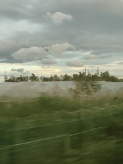 1000001402