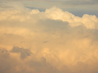 1000053396