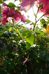 DSC01285
