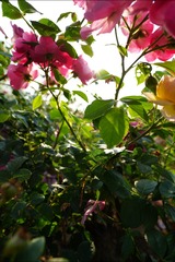 DSC01286