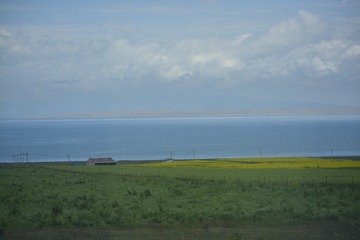 _DSC0423