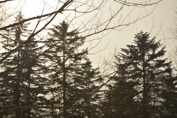 _DSC5766