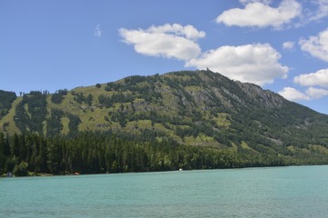 _DSC1565