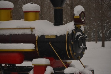 _DSC6352