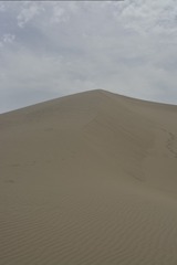 _DSC2821