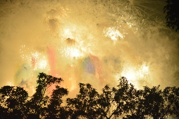 _DSC7254
