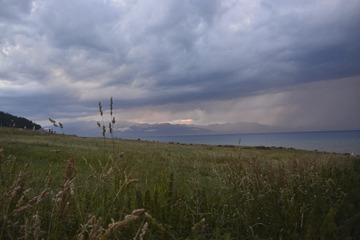 _DSC1262