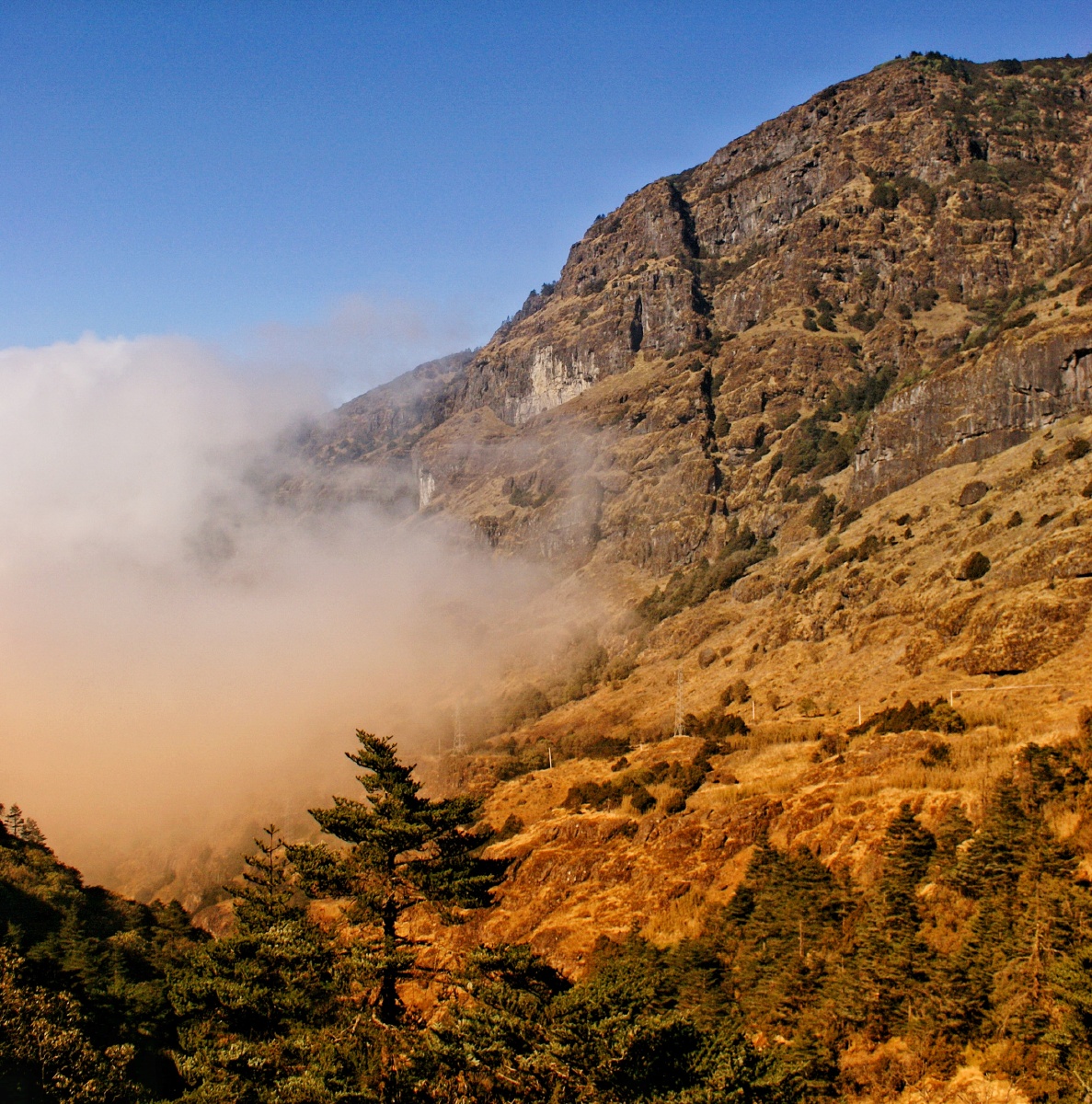 昆明轿子雪山海拔4247米20162
